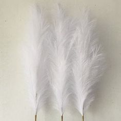 three white feathers are hanging on the wall