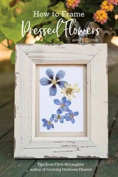 the cover of how to frame pressed flowers by martha maughin, featuring blue and yellow flowers