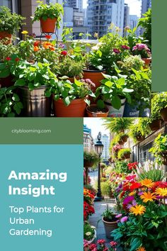 Lush urban garden with vibrant flowers and foliage on a balcony.