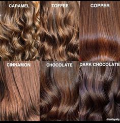 Cinnamon Coloured Hair, Brown Hazelnut Hair Color, Cooper Carmel Hair, Brown And Golden Hair, Cinnamon Hair Color On Brown Skin, Brown Hair With Auburn Tint, Cinnamon Brown Hair Colors, Soft Cinnamon Hair Color, Brown Hair Colors Fair Skin