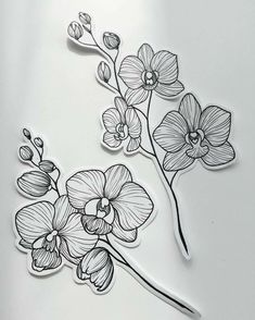 a drawing of flowers on a white surface