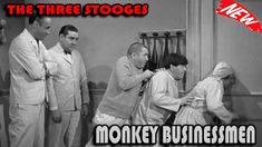 the three stooges - monkeyy businessmen