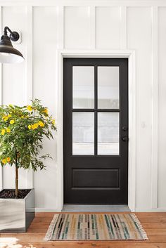 a black front door with a potted plant next to it on a wooden floor