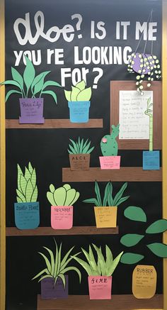 a bulletin board with potted plants on it and the words who is it me? you're looking for?