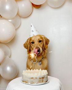 a golden retriever dog sitting in front of a birthday cake