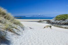 there is a dog that is walking on the sand by the water and grass in the foreground