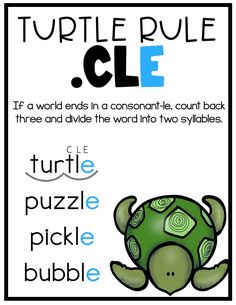 the turtle rules are in two different languages, and each has an image of a turtle on