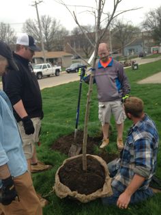 four men are standing around a tree that is being planted