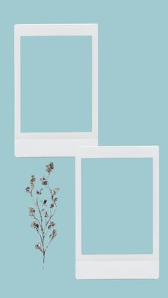 two white frames with flowers on them against a blue background