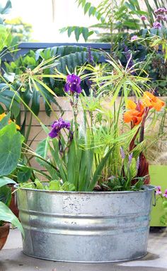 an old metal tub filled with lots of flowers next to potted plants and greenery