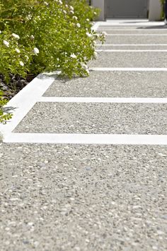 an empty street with white lines painted on the pavement and bushes growing along the curb