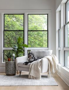 a dog is sitting on a couch in front of three large windows with trees outside