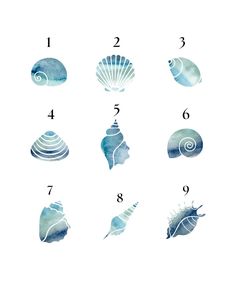 an image of seashells and shells in blue watercolor on white paper with numbers