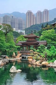 a pond with rocks and trees in the foreground, surrounded by tall city buildings