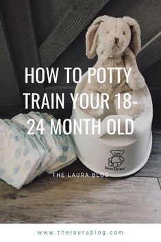 Potty Training 101, Potty Training Books, How To Potty Train, Potty Training Girls, Toddler Potty, Potty Training Boys, Toddler Potty Training, Potty Time, Potty Train