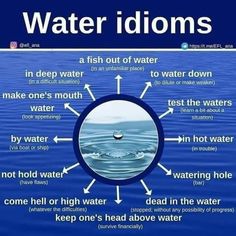 the water idioms are labeled in several different languages, including words and pictures