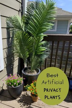 three potted plants on a porch with the words best artificial privacy plants