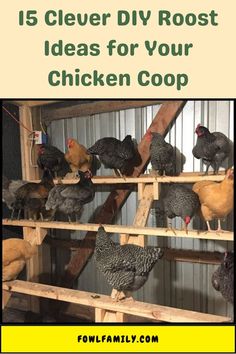 DIY Roost Ideas Chicken Roost Ideas, Nesting Boxes Diy, Inside Chicken Coop, Small Chicken Coops, Chicken Coup