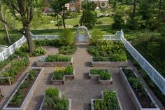 an aerial view of a garden with various plants and flowers in the center, surrounded by trees