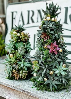 two small trees made out of plants on a table with a sign in the background