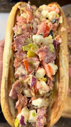 a hand holding a hot dog with toppings on it