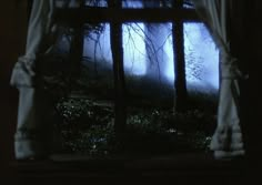 an open window with curtains and trees in the background at night time, looking out onto a foggy forest