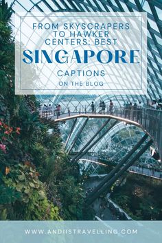 Are you planning to visit Singapore? Check out the best Singapore Instagram captions for your beautiful photos! #singapore#isntagram #captions Best Singapore Instagram Captions, Best Singapore Captions for Instagram, Short Singapore Instagram Captions, Cute Singapore Captions for Instagram, Funny Singapore Captions for Instagram, Singapore Puns Best Singapore Quotes for Instagram