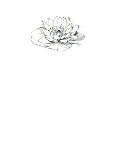 a black and white drawing of a flower