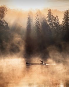 a person in a boat on a lake surrounded by fog and trees with the sun shining through