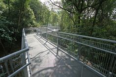 a metal walkway in the middle of some trees