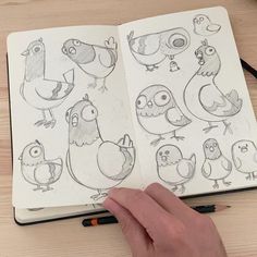 a hand is holding an open book with drawings of birds and other animals on it