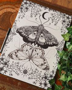 a drawing of two butterflies on top of a wooden table next to some flowers and leaves