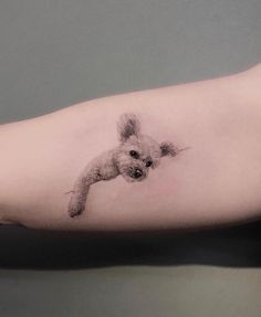 a small dog tattoo on the arm