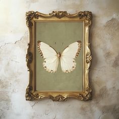 a white butterfly sitting on top of a framed photo in a gold frame against a wall