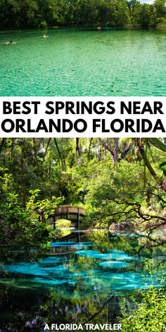 the best springs near orlando florida