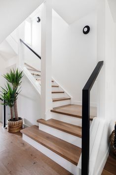 there is a potted plant on the floor next to some stairs in this house