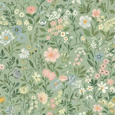 Francesca Wallpaper - Painted Paper Sage Green Design Wallpaper, Greenery Laptop Wallpaper, Cute Wallpapers For Bathroom, Colors That Go With Light Green, Cute Floral Pattern, Cottage Aesthetic Wallpaper, Sage Bedrooms, Baby Green Wallpaper, Floral Background Green