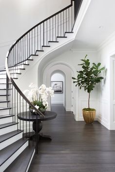 a white staircase with black railing and wooden flooring in the hallway next to a potted plant