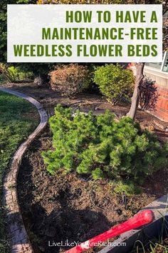 an aerial view of a flower bed with text overlay that reads how to have a maintenance - free weedless flower beds