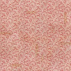 an old red and white wallpaper with small leaves on the bottom half of it