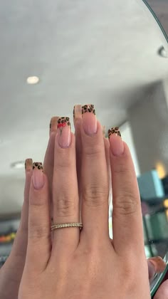 Leopard nails Leopard Print Square Nails, Acrylic Nails Leopard Print, Leopard Print Nails Square, Leopard Print Tip Nails, Summery Nails 2024 Square, Lepord Nails Acrylic French Tip, Short Cheetah Print Nails, Leapord Nails Acrylic, Nails Leopard