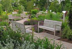 a park bench sitting next to a lush green forest filled with lots of trees and bushes