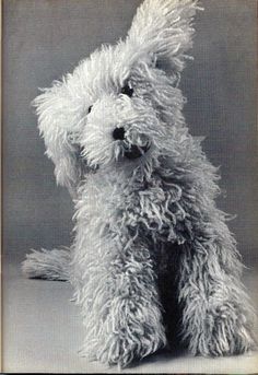 an old black and white photo of a small dog with fluffy fur on it's face