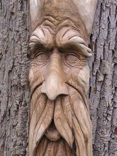 an old man's face is carved into the bark of a tree in front of it