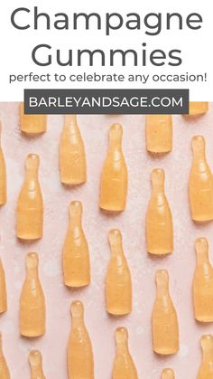 champagne gummies are perfect to celebrate any occasion