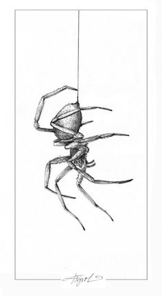 a black and white drawing of a spider hanging from a wire with its legs spread out