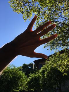 a person's hand reaching up into the sky