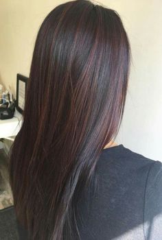 Dark Plum Highlights On Dark Hair, Brown Dye On Black Hair, Subtle Red Highlights In Black Hair, Dark Brown Hair With Red Highlights Long, Brown Dark Red Hair, Dark Brown Hair With Dark Red Highlights, Dark Dark Red Hair, Highlight Layered Hair, Dark Red Highlights On Dark Hair