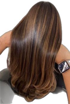 Brown Hair With Caramel Highlights, Rambut Brunette, Honey Brown Hair, Hair Color Caramel