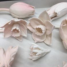 some pink flowers are laying on a white tablecloth and it looks like they have been made out of clay